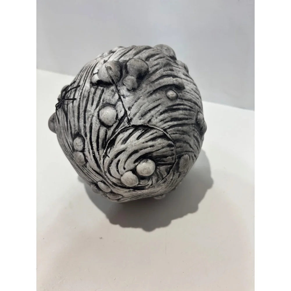 Unbranded spider egg